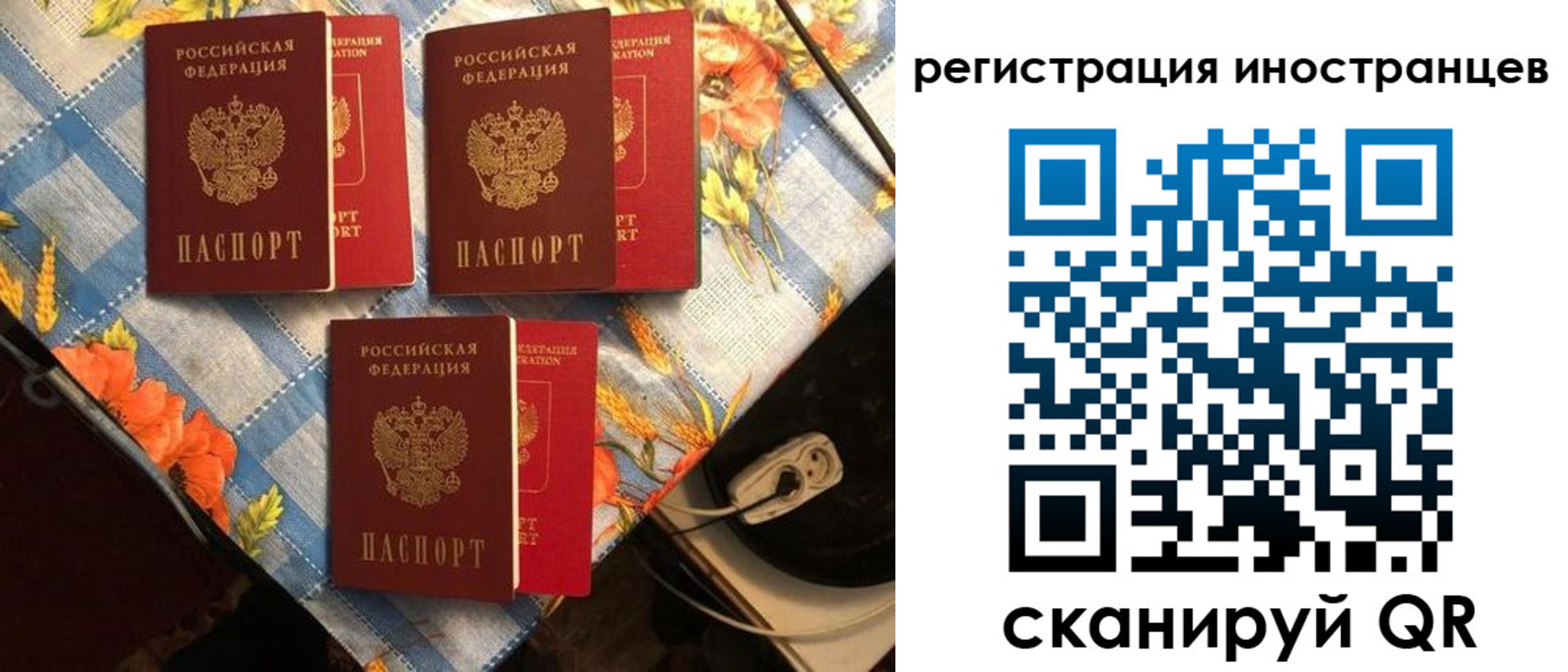 прописка поиск в Алагире